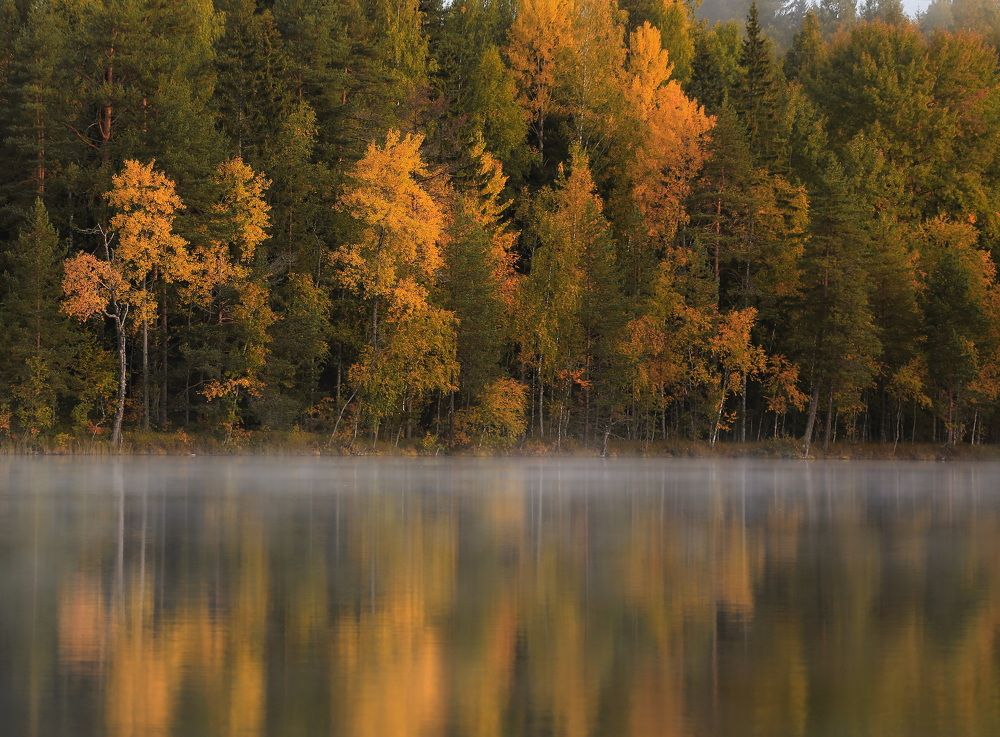 Photograph by Дмитрий Петухов