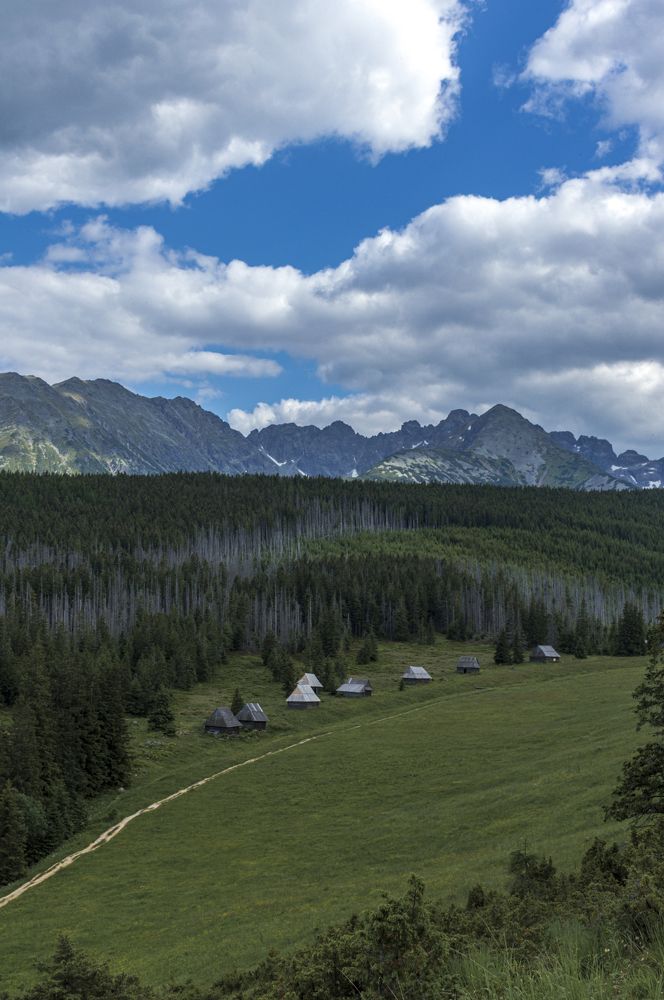 Photograph by Артём Амельянчик