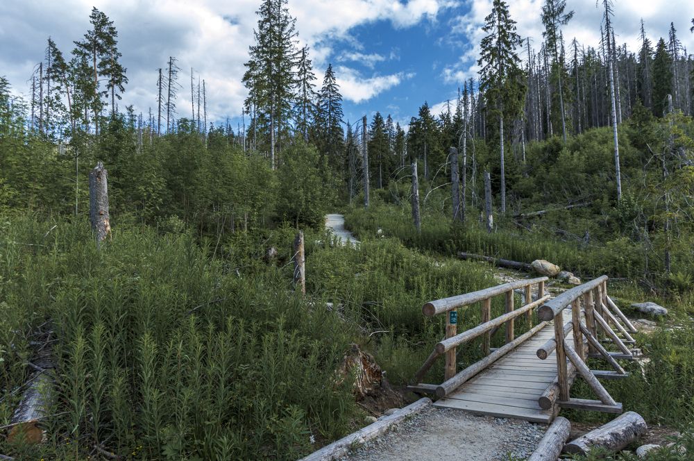 Photograph by Артём Амельянчик