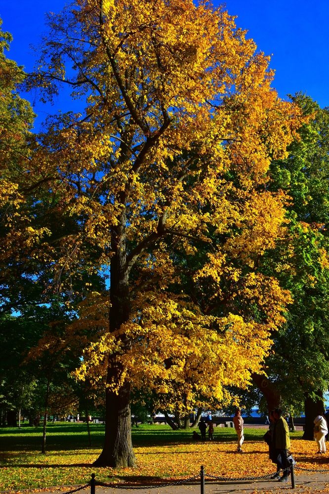 Photograph by Евгений Захаров