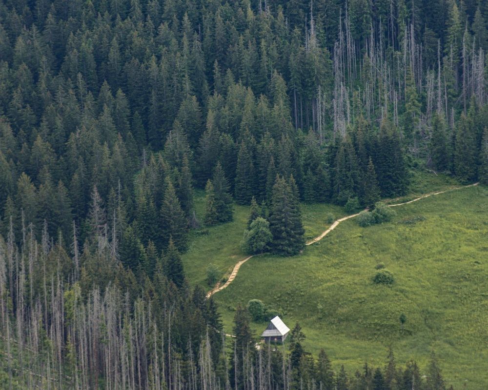 Photograph by Артём Амельянчик