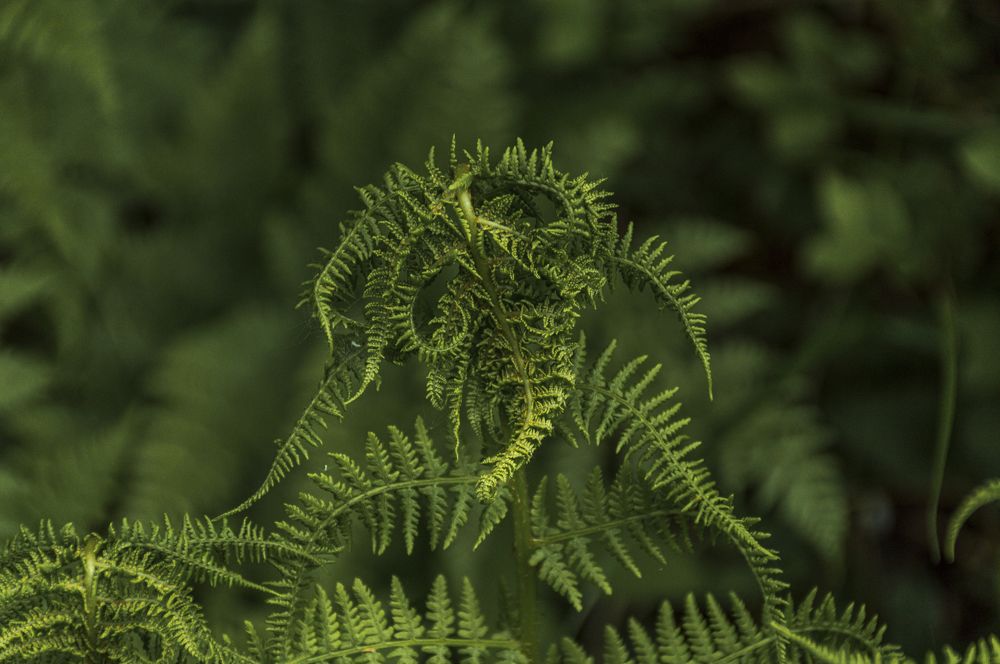 Photograph by Артём Амельянчик