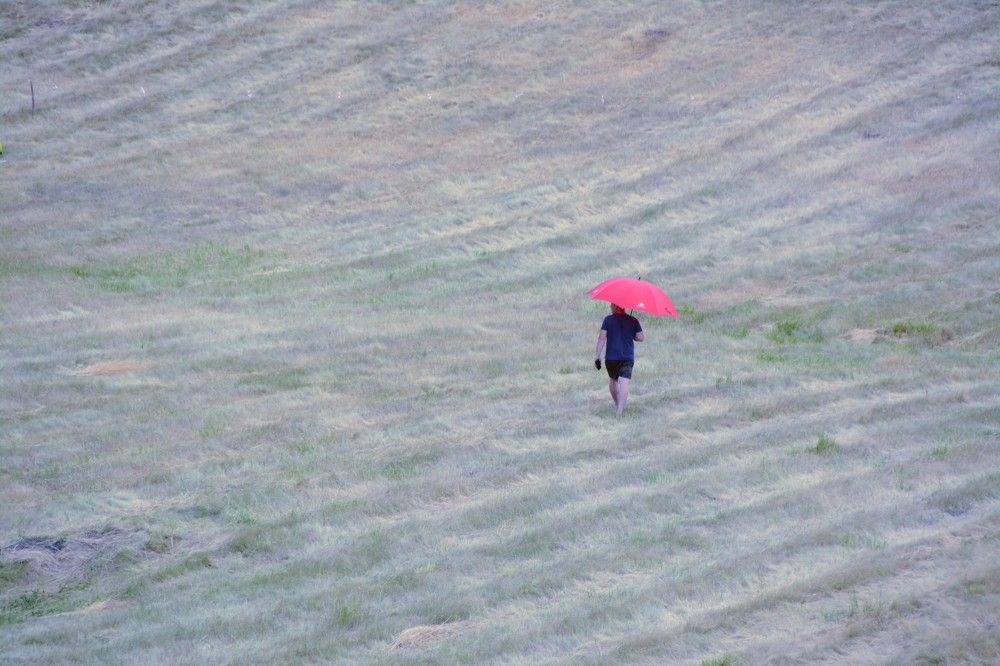 Photograph by Дмитрий Шумский