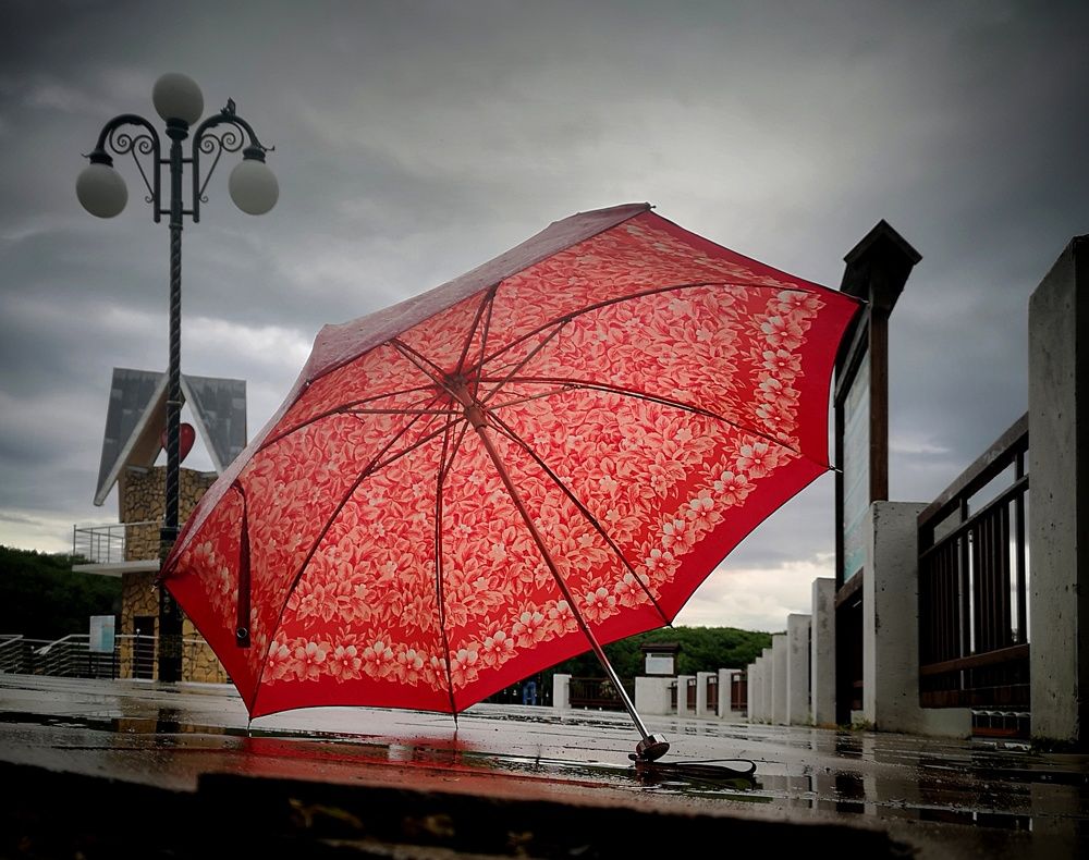 Photograph by Кривенко Владимир