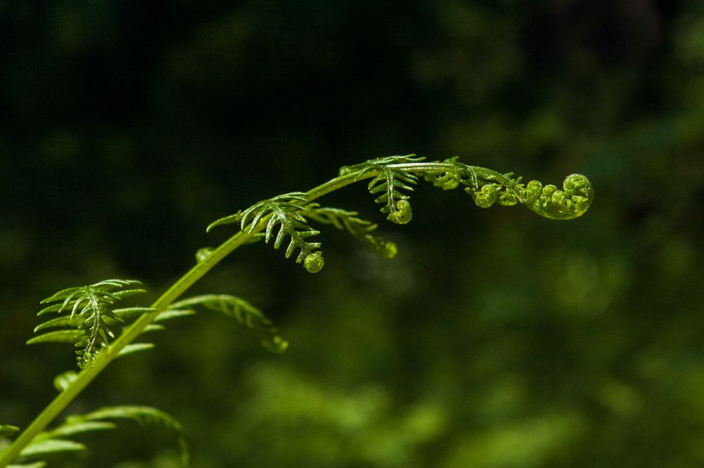 Photograph by Андрей Егоров