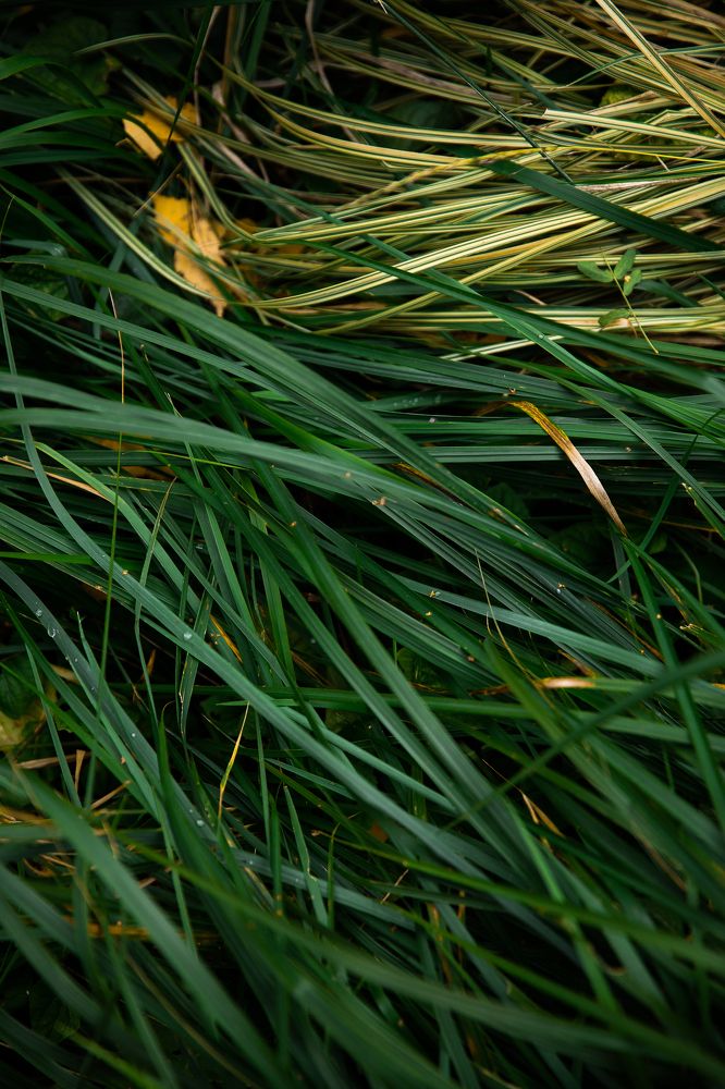 Photograph by Александра Косова