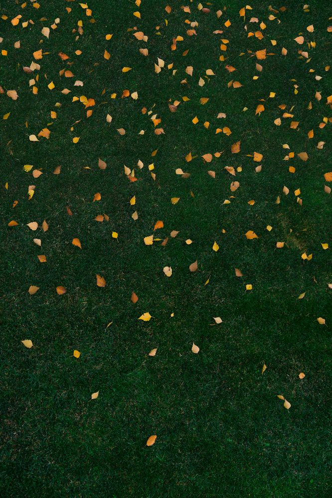 Photograph by Александра Косова