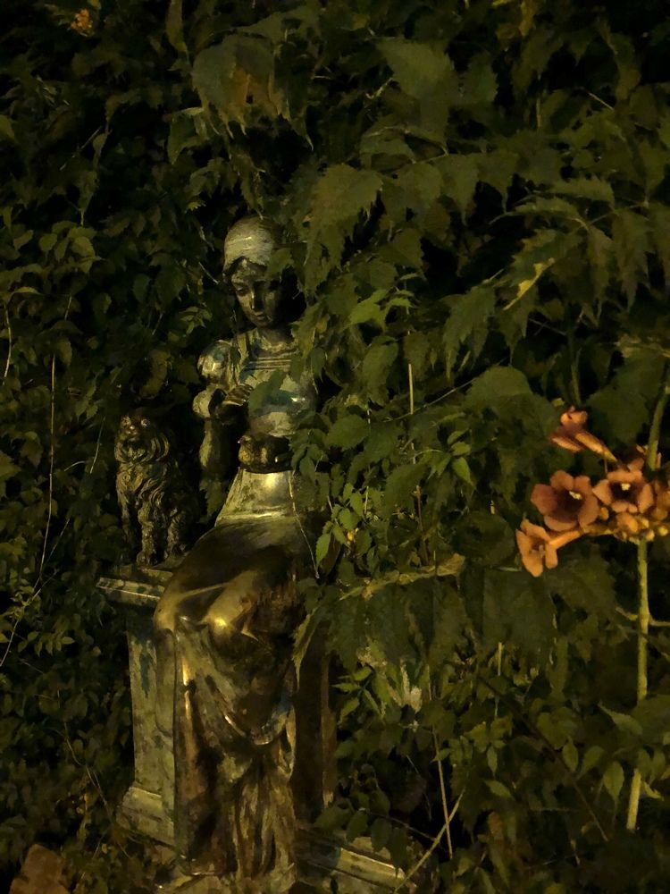 Photograph by Юлия