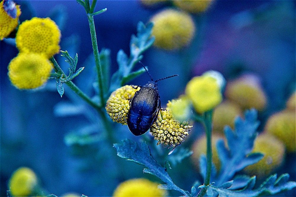 Photograph by БРОВКО АЛЕКСАНДР ИВАНОВИЧ