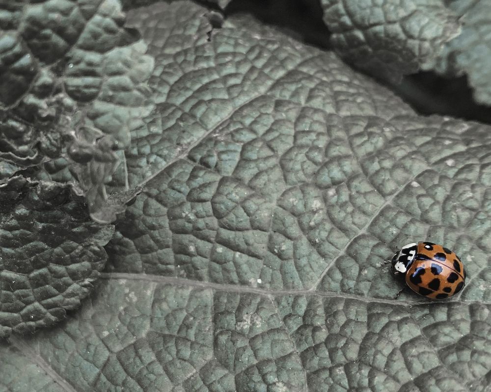 Photograph by Артём Амельянчик