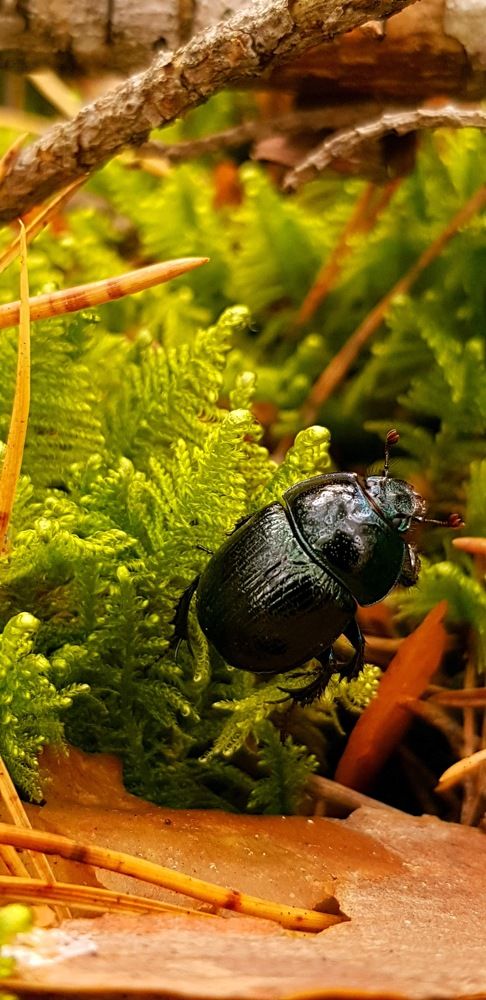 Photograph by Артём Амельянчик