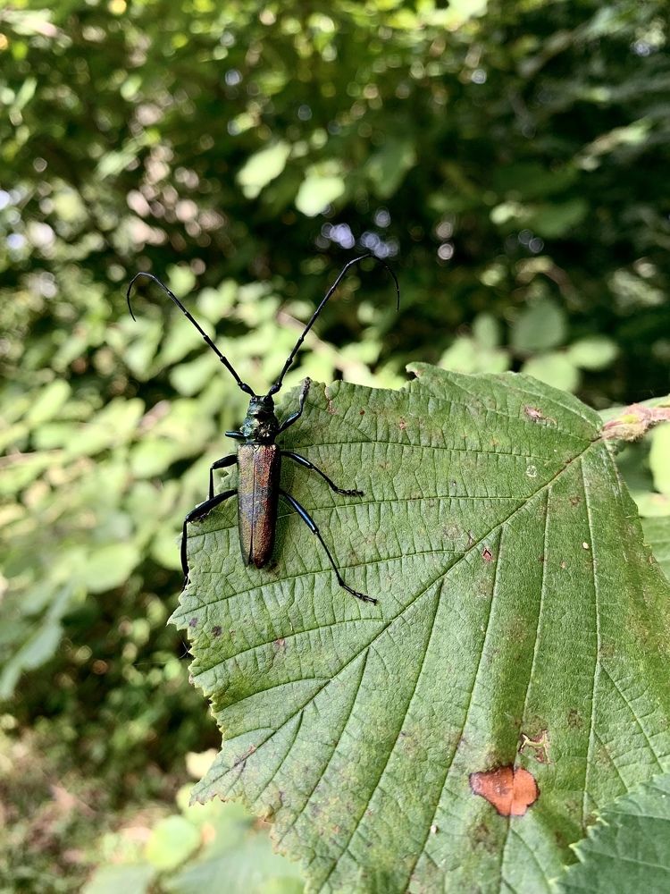 Photograph by Артём Амельянчик