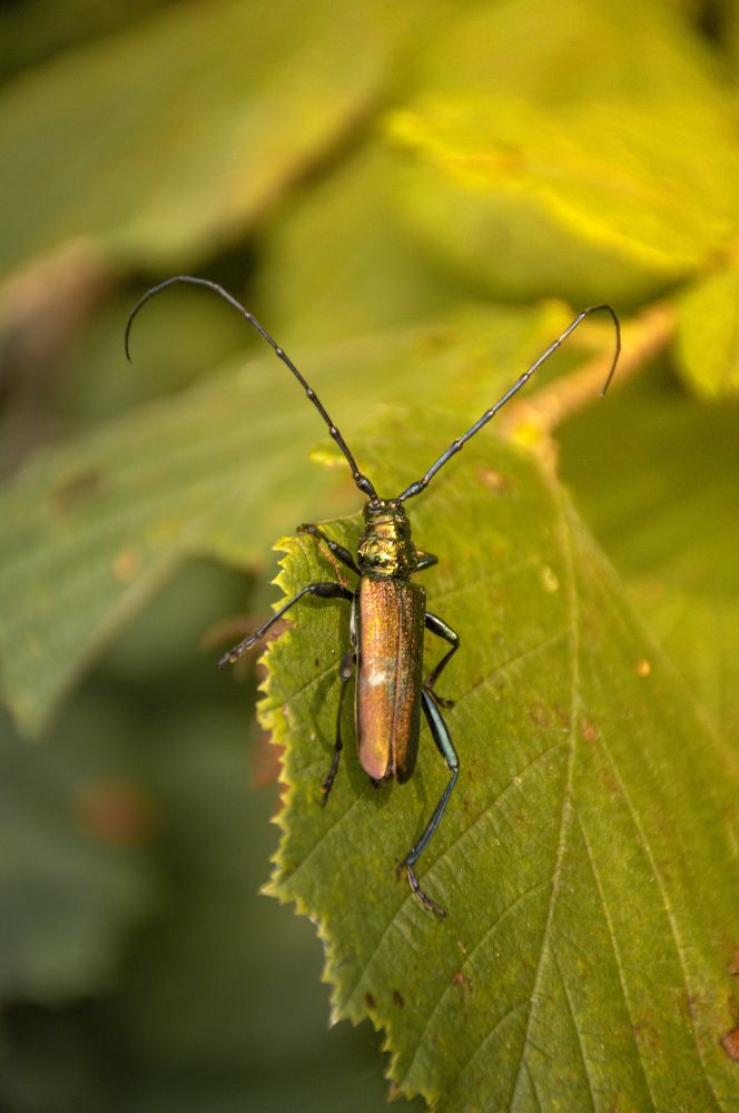 Photograph by Артём Амельянчик