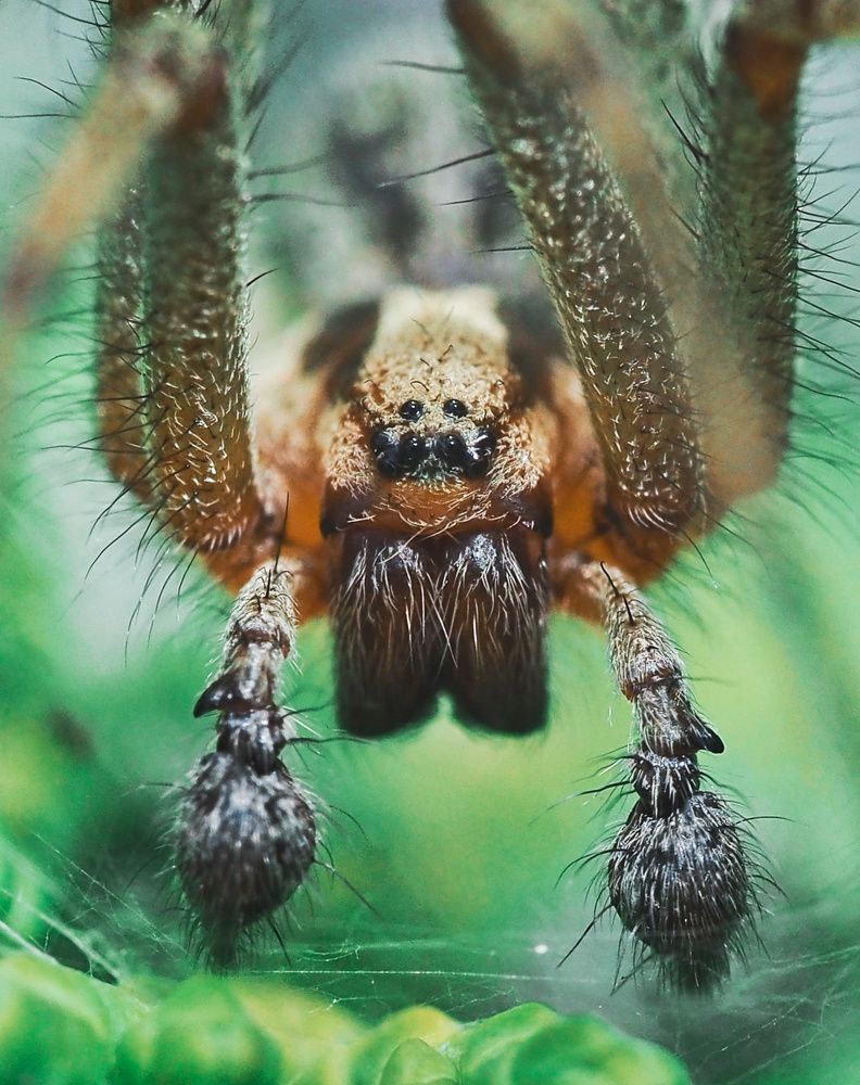 Photograph by Ирина Протченко