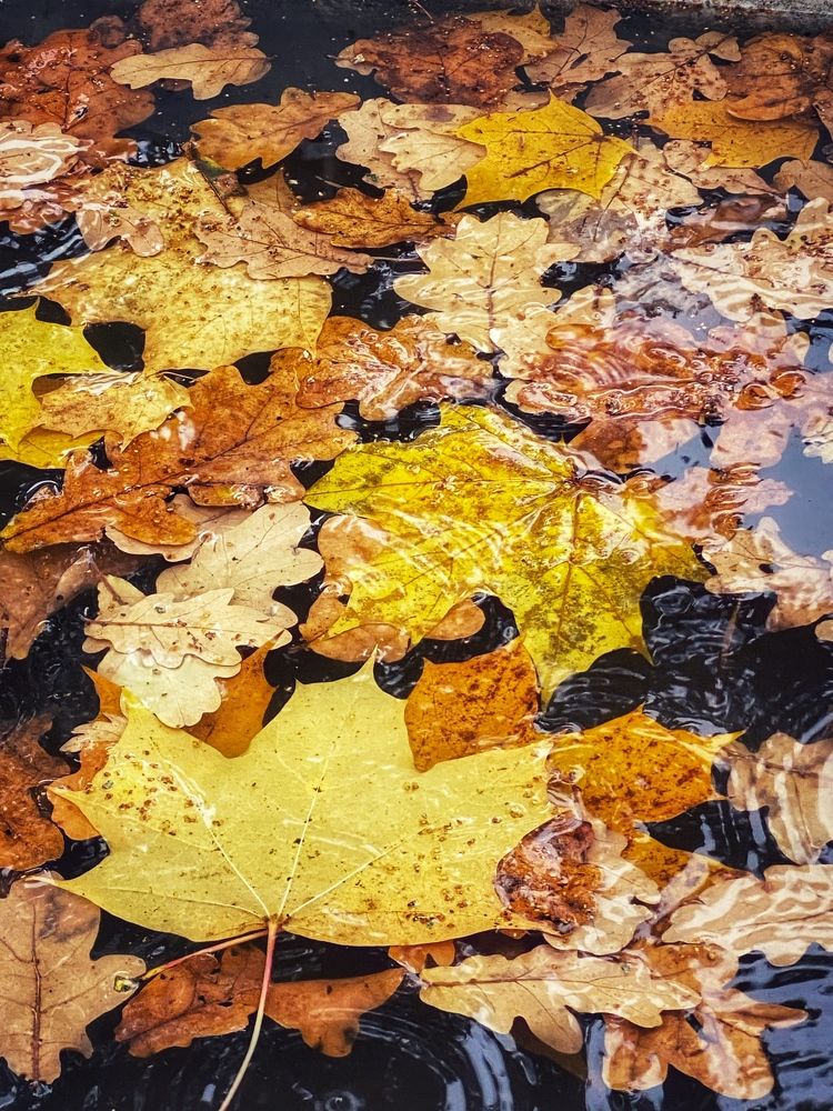 Photograph by Яна Лугинина