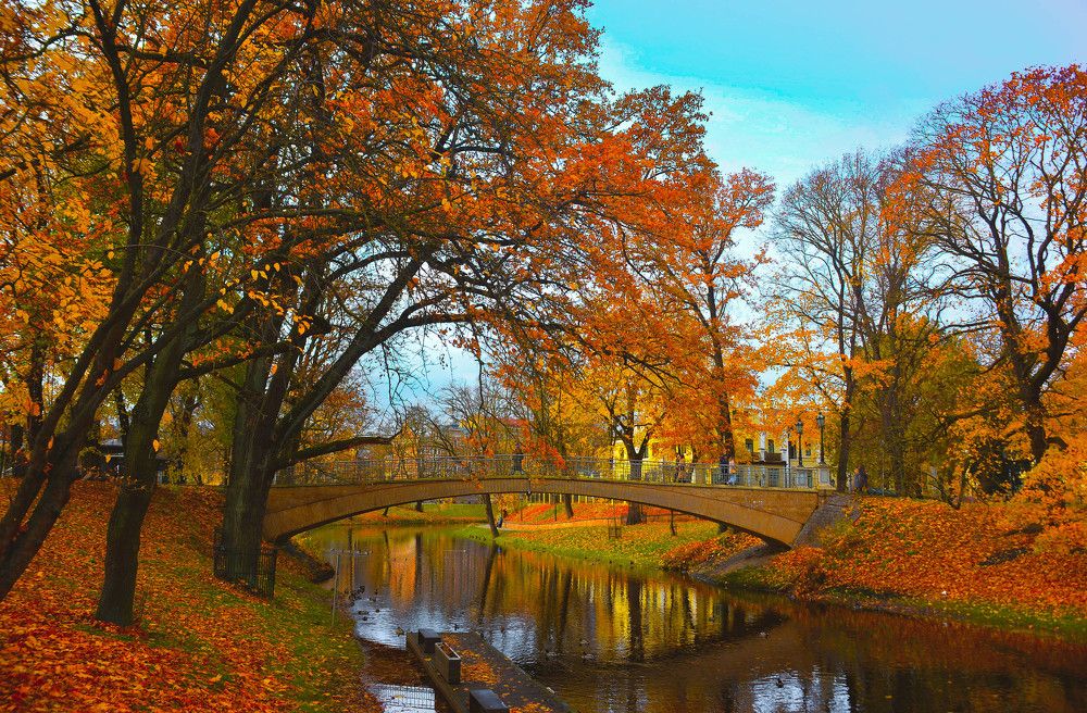 Фотография автора Aлексей Игнатьев
