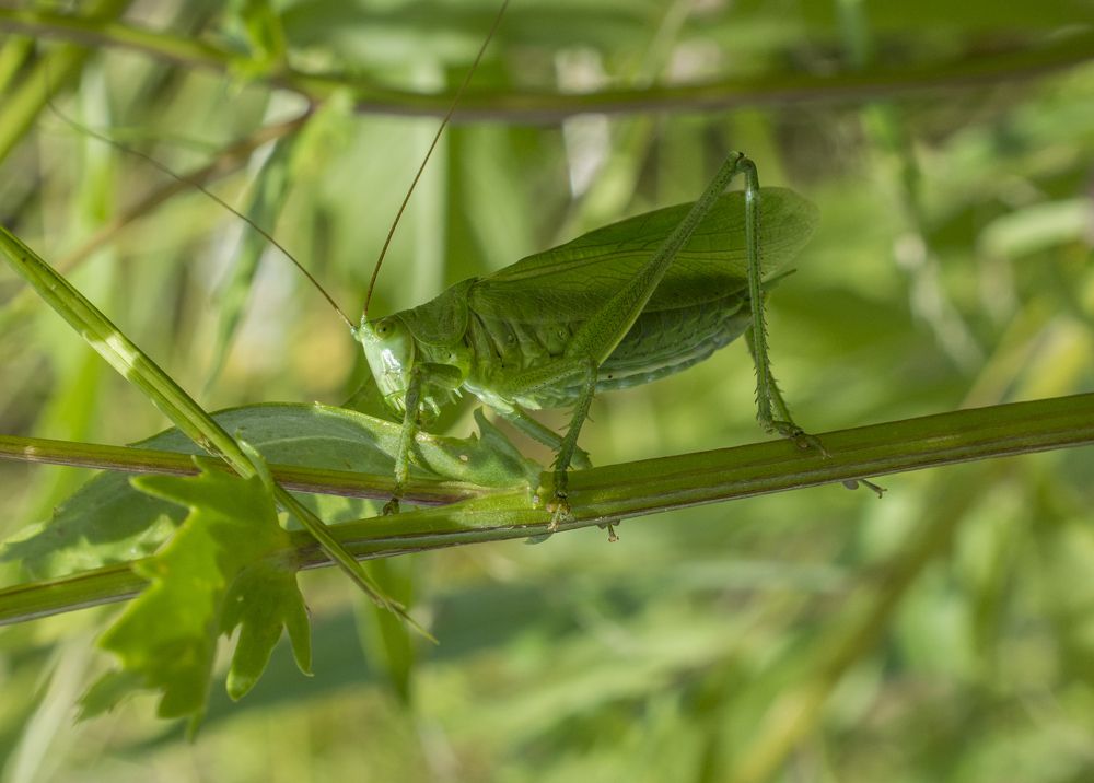 Photograph by Николай Лысцев