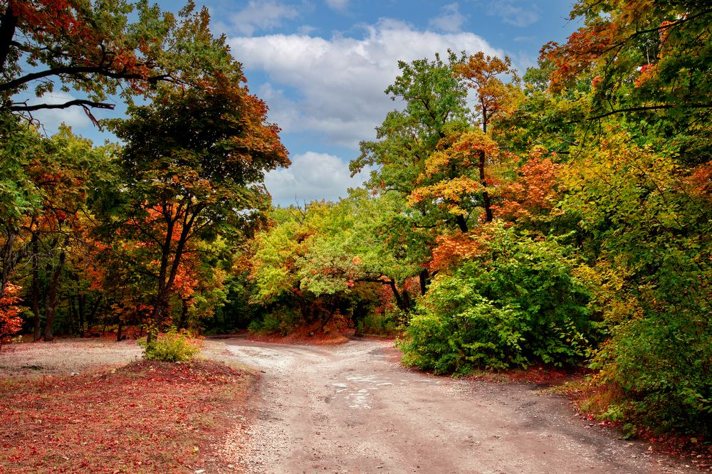 Photograph by Марина Магадиева