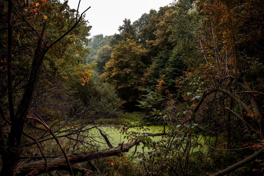 Photograph by Марина Магадиева