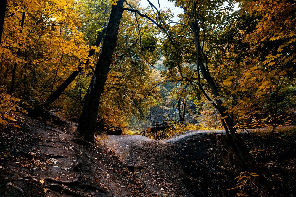 Photograph by Марина Магадиева