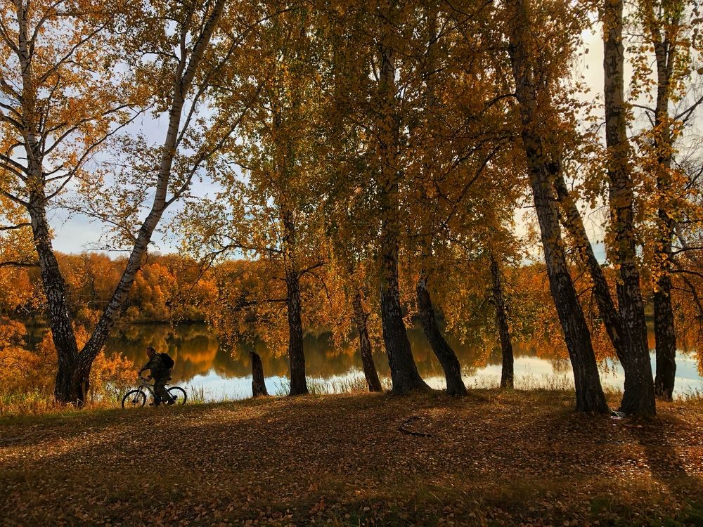 Photograph by Римма Большакова