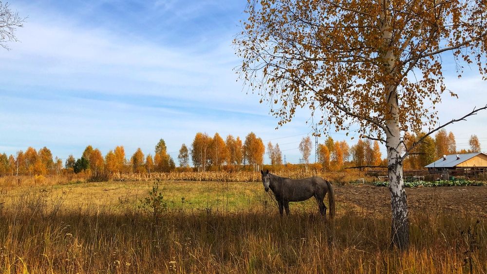 Photograph by Римма Большакова
