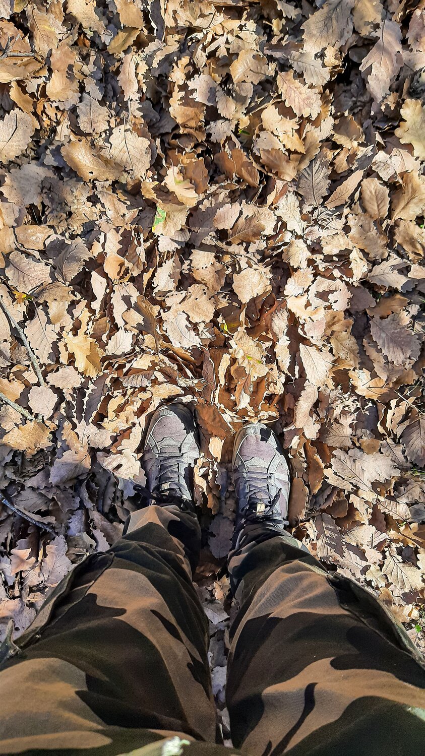 Autumn atmosphere