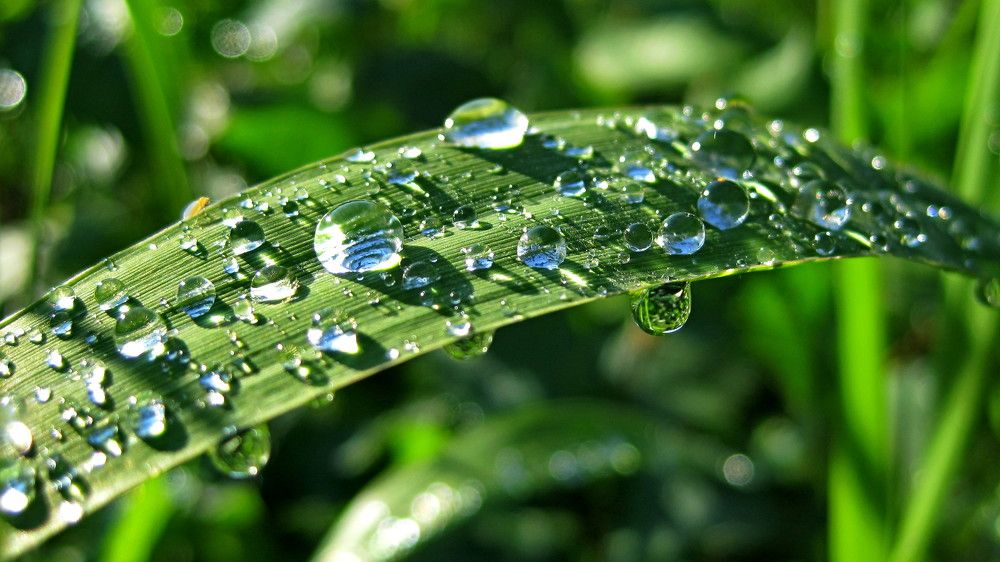 Photograph by Наталья Дубовкина