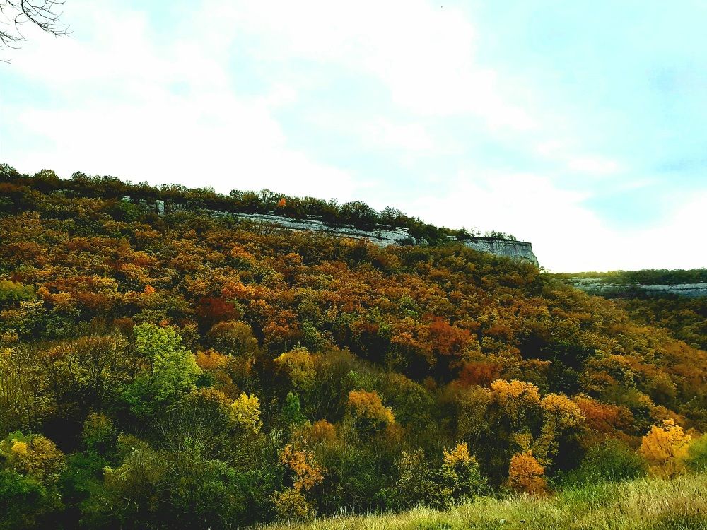 Photograph by Natalya Vasilenko