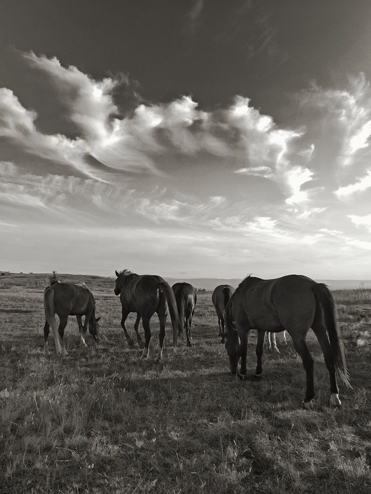 Photograph by Жигульский Сергей