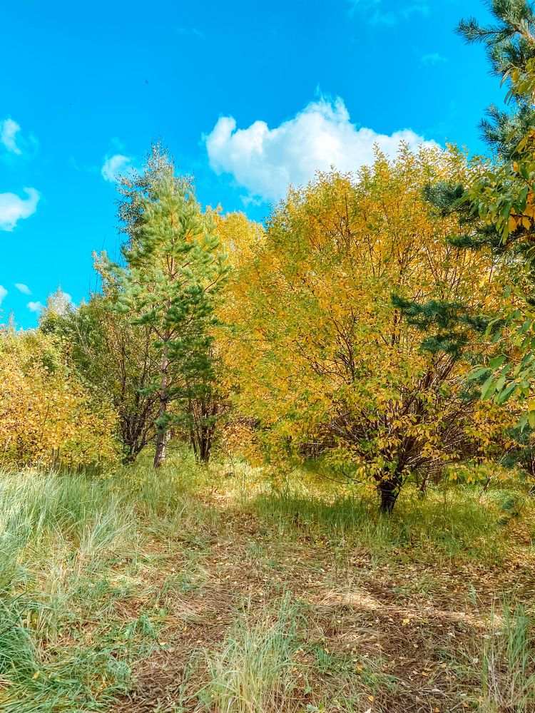 Photograph by Катерина