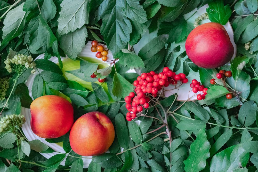 Рябина и персики
