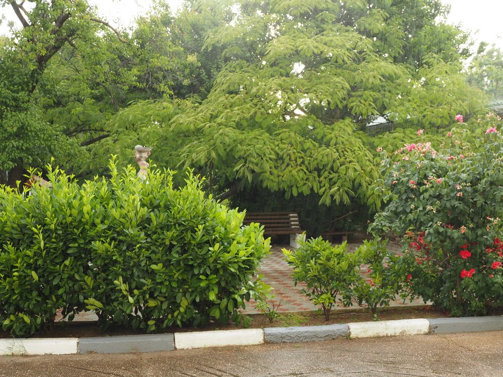 Photograph by Сергей Борисов