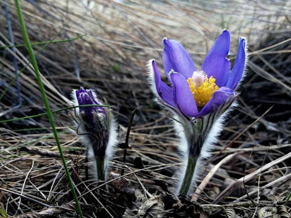 Photograph by Наталья Дубовкина