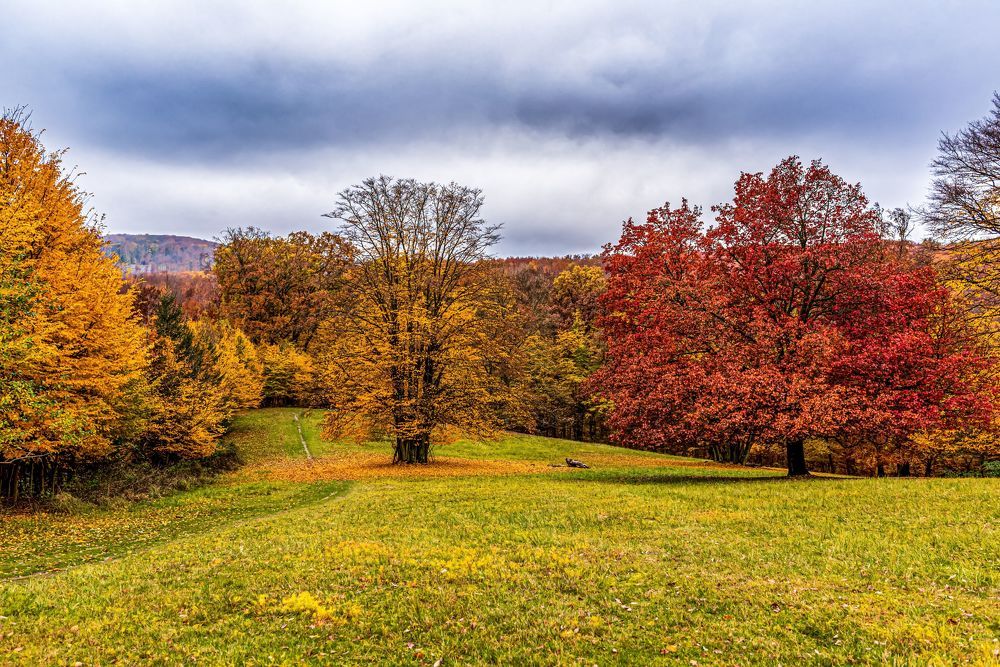 Photograph by Ludovit Repan