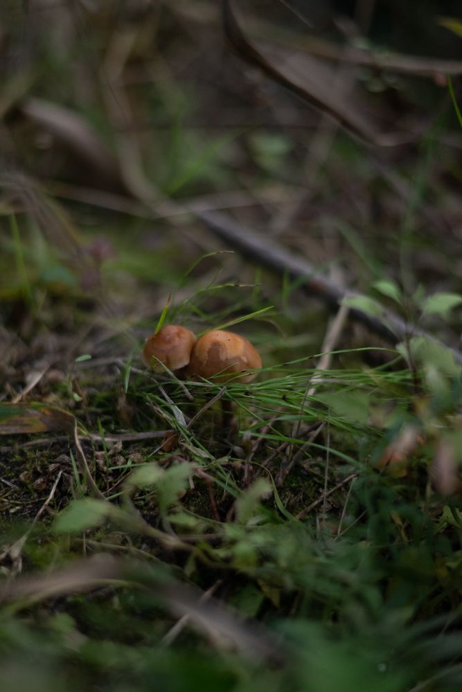 Photograph by Мария Артемова