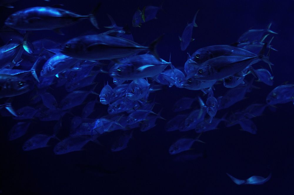 Photograph by Елена Ласун