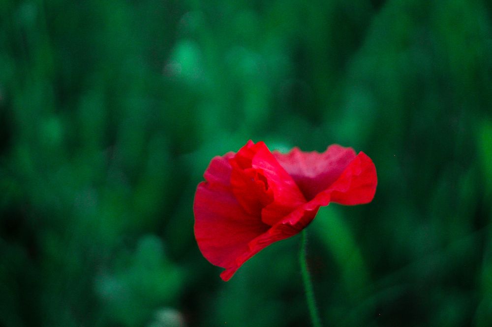 Фотография автора Денис Беляев