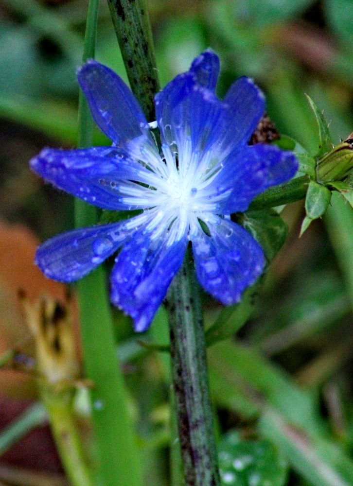 Photograph by Николай Николаевич Леухин