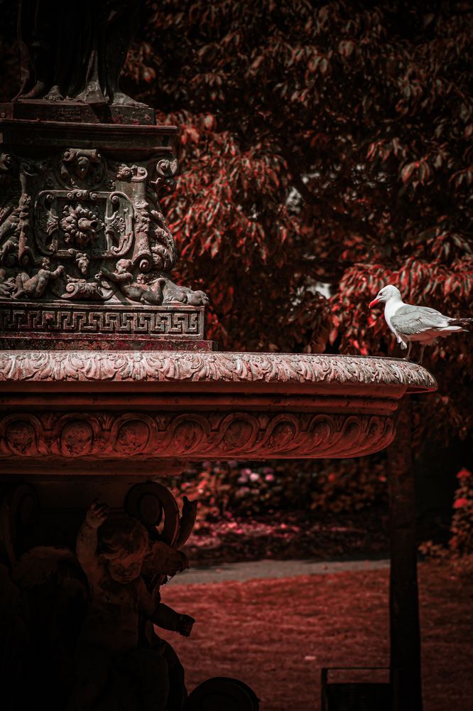 Фотография автора Денис Беляев