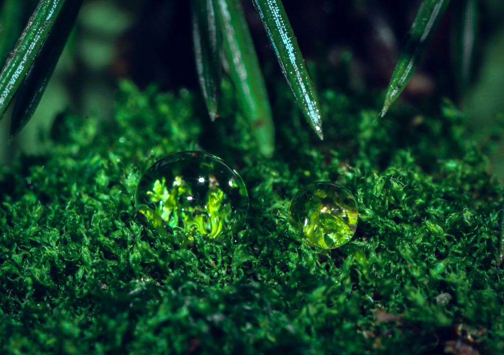 Photograph by Ольга Остапенко