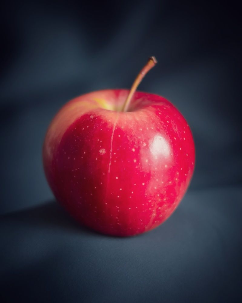 Photograph by Александр Панин