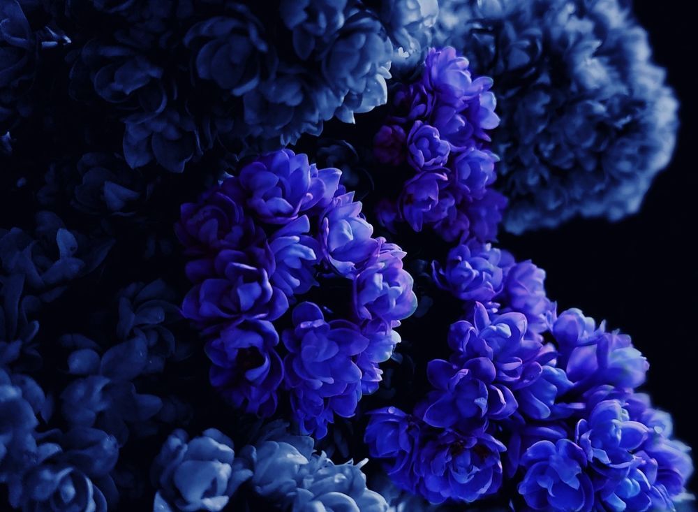 Photograph by Irina Dali