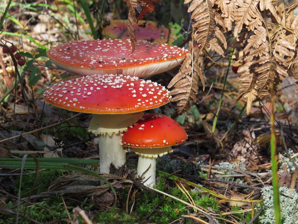 Photograph by Наталия Васильева