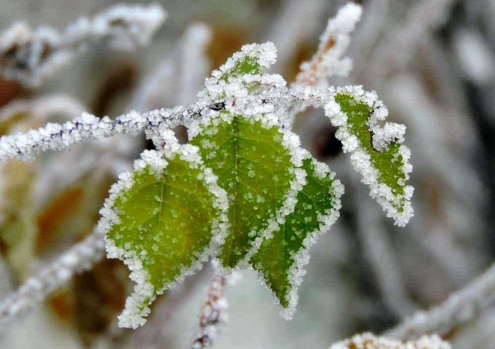 Photograph by Наталия Васильева