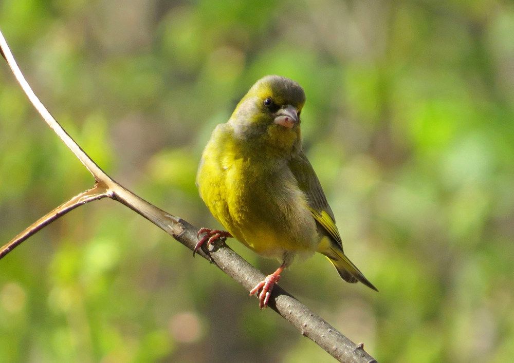 Photograph by Наталия Васильева
