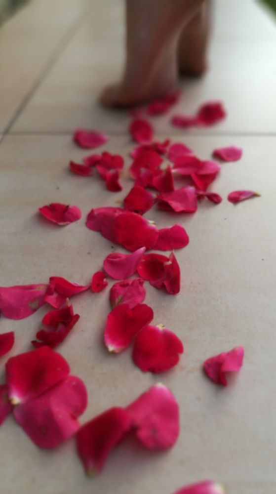 Photograph by Анастасия Липаткина