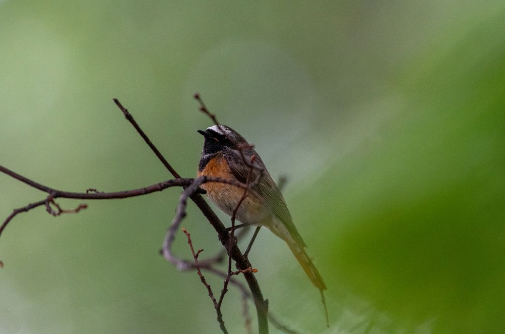 Photograph by Александр Перегудов