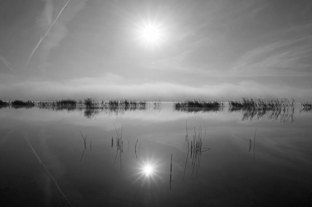 Photograph by Мишустина Татьяна