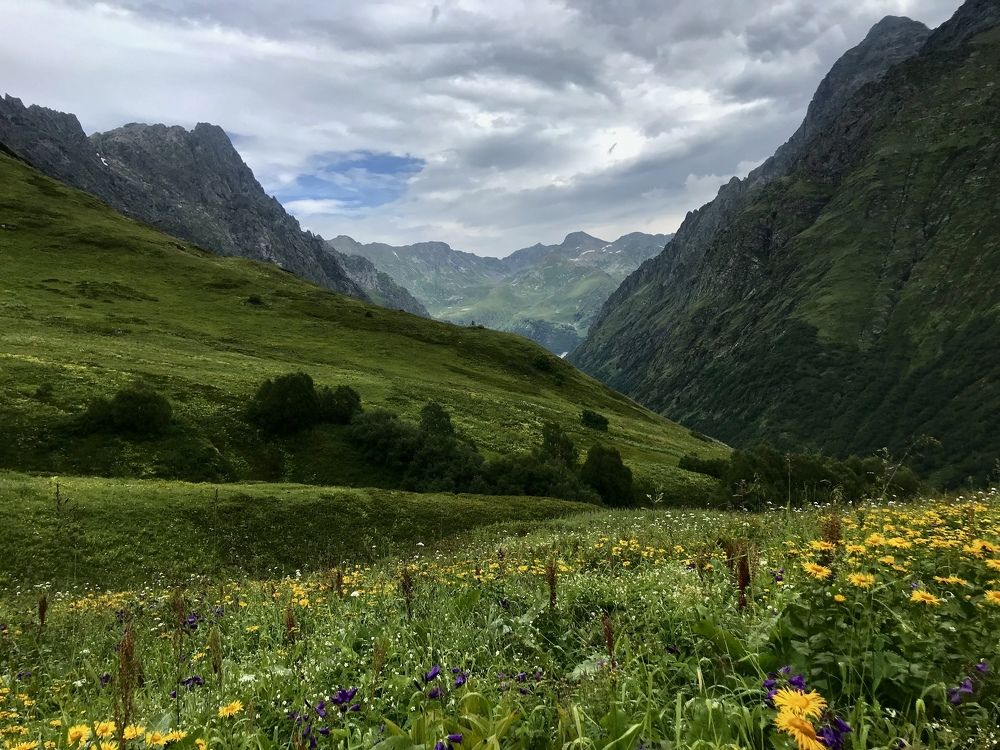 Фотография автора Gulnara